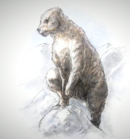 Rendition of unknown bear that may represent the Yeti